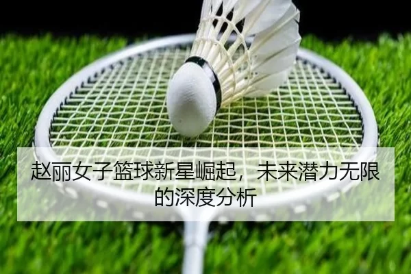 赵丽女子篮球新星崛起，未来潜力无限的深度分析